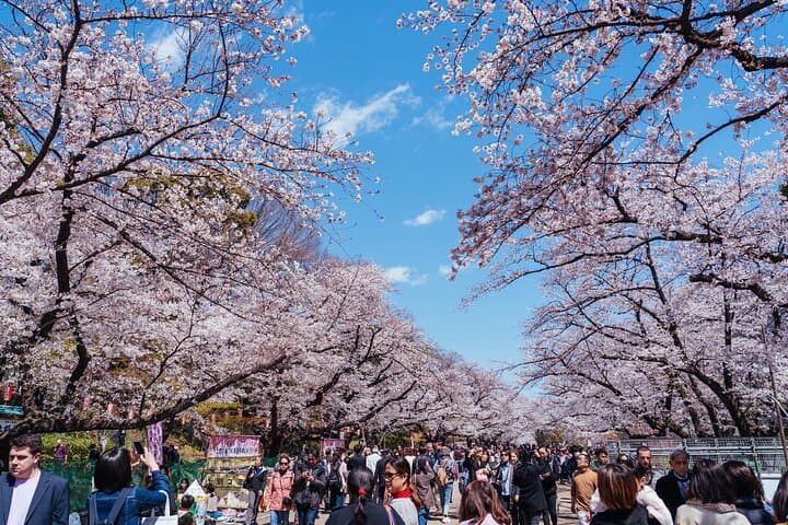 4 Days Tour in Tokyo, Mt. Fuji, Hakone, Yokohama and Kamakura — photo 8