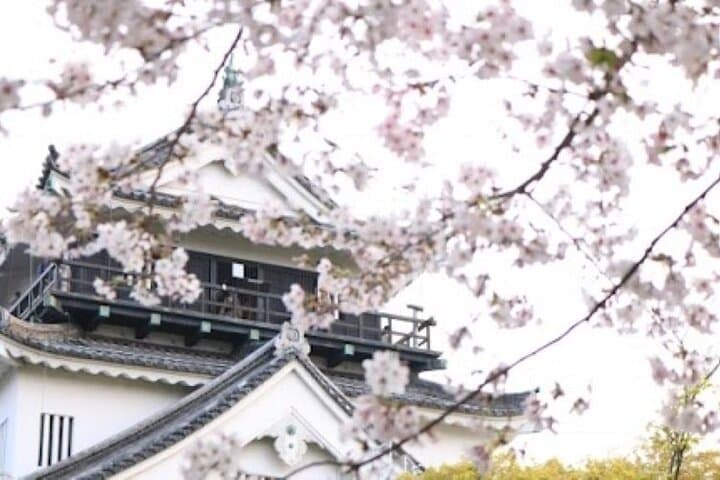 Explore-Castles Tour in Samurai City Aichi Using Local Train — photo 12
