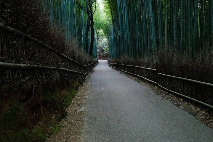 Kyoto Bamboo Forest & Golden Pavilion E-Bike Tour — photo 5
