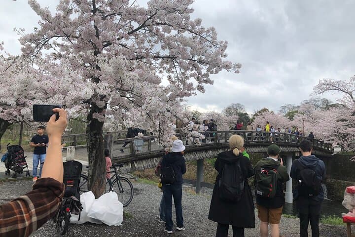 Kyoto Bamboo Forest & Golden Pavilion E-Bike Tour — photo 9