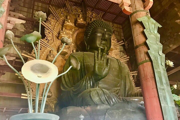 Guided Tour of Todai ji and Nara Park (Guide in Spanish) — photo 2
