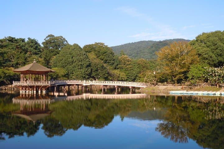 Guided Tour of Todai ji and Nara Park (Guide in Spanish) — photo 4