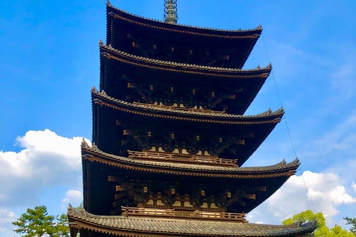 Guided Tour of Todai ji and Nara Park (Guide in Spanish) — photo 6