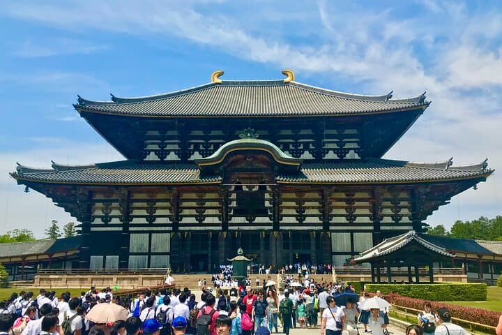 Guided Tour of Todai ji and Nara Park (Guide in Spanish) — photo 8