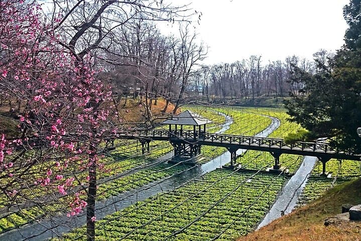Private Guided Half Day Tour Visit in Nagano — photo 3