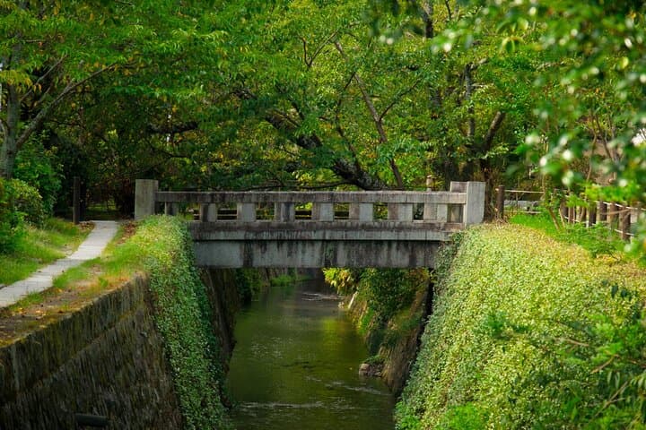 Bamboo Artistry, Zen Serenity & with Ginkaku-ji in Kyoto — photo 5