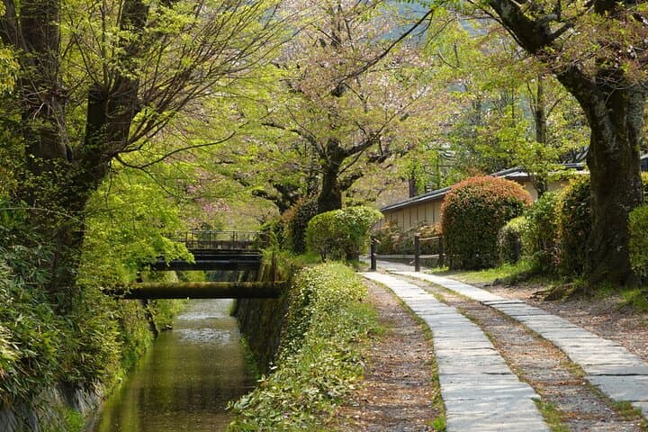 Bamboo Artistry, Zen Serenity & with Ginkaku-ji in Kyoto — photo 8