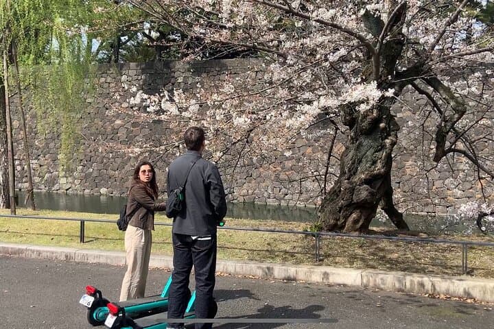 E-scooter Tour with a Private Guide Tokyo — photo 5