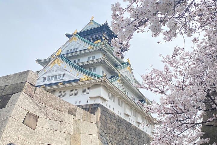 PRIVATE 6hr, Food tour from Osaka Castle, Kuromon, Dotonbori. — photo 18