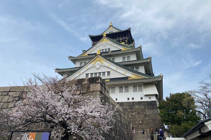 PRIVATE 6hr, Food tour from Osaka Castle, Kuromon, Dotonbori. — photo 19
