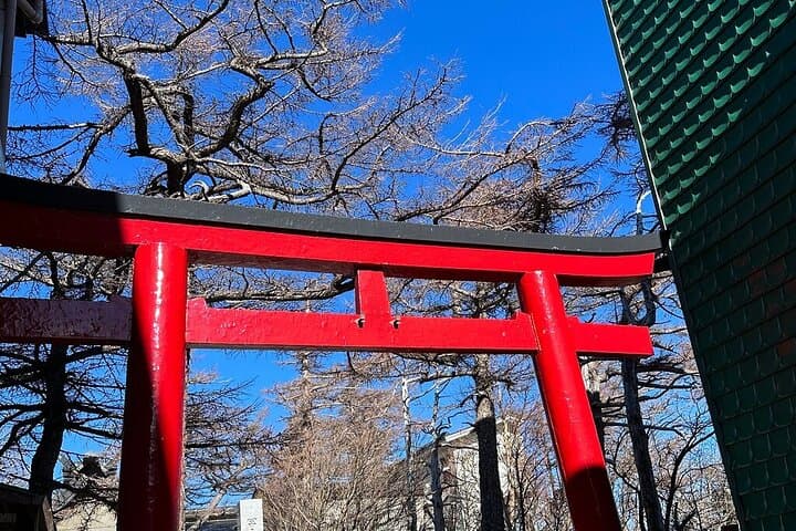 Mount Fuji Adventures Private English Tour With Hotel Pick Up — photo 12