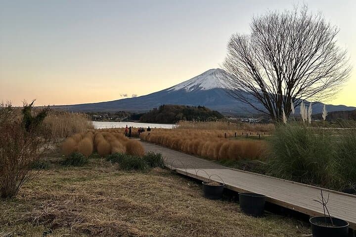 Mount Fuji Adventures Private English Tour With Hotel Pick Up — photo 13