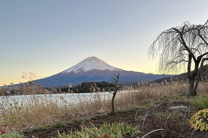 Mount Fuji Adventures Private English Tour With Hotel Pick Up — photo 14