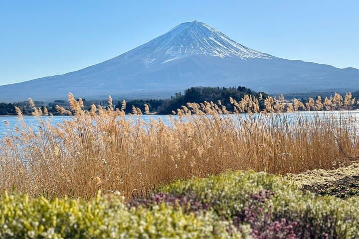 Mount Fuji Adventures Private English Tour With Hotel Pick Up — photo 17