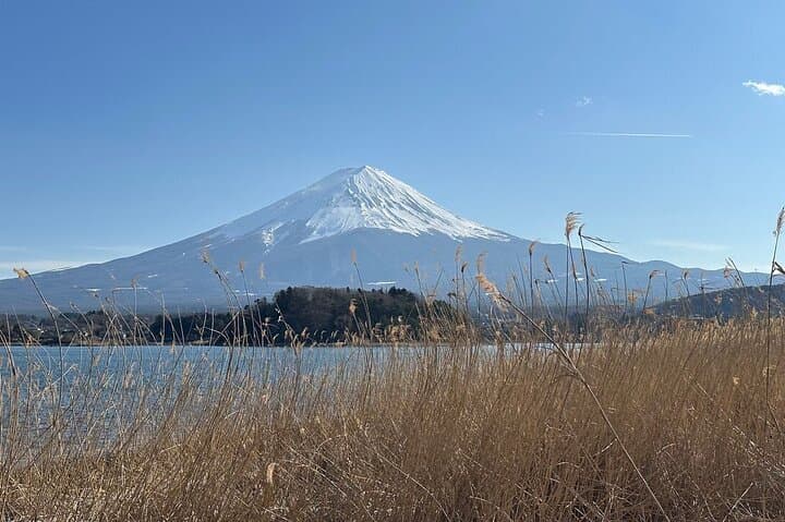 Mount Fuji Adventures Private English Tour With Hotel Pick Up — photo 18