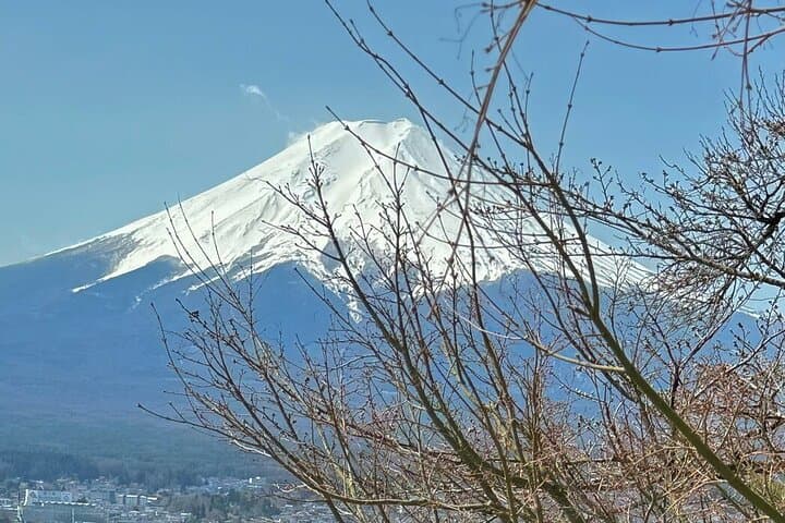 Mount Fuji Adventures Private English Tour With Hotel Pick Up — photo 19