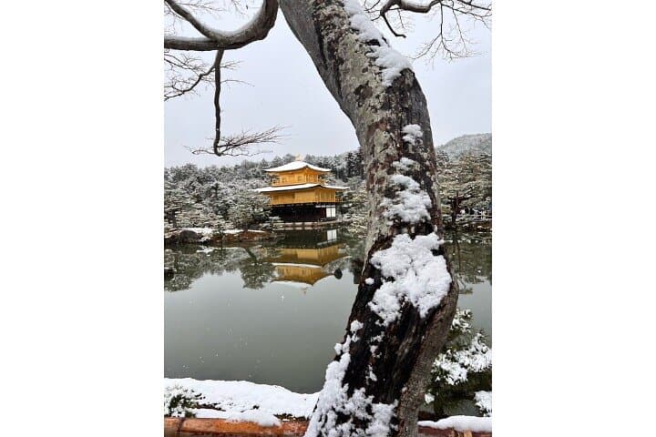 Full Day Private Car Tour in Kyoto — photo 2