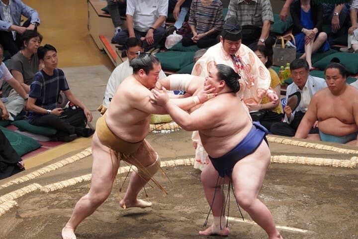Seat B Ticket Tokyo Sumo Wrestling Tournament in Ryogoku — photo 12