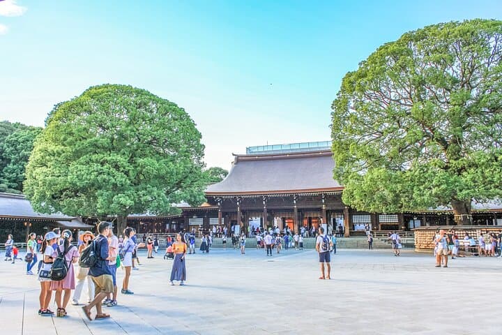 Discover Tokyo, Private Customized Tour with Expert Guides — photo 8