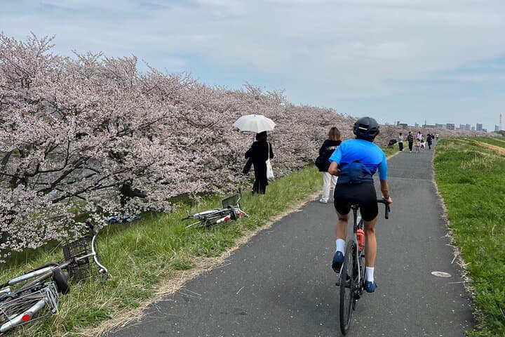 English/Italian guided cycling tour in Tokyo — photo 10