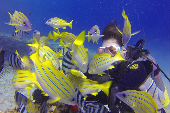 Blue Cave Boat Diving Experience Tour with Private Guide — photo 2