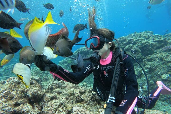 Blue Cave Boat Diving Experience Tour with Private Guide — photo 6
