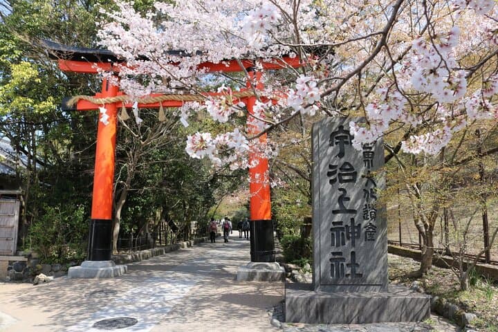 Uji's Romance: Byodo-in, Tea & Legacy of Genji's Timeless Tales — photo 4