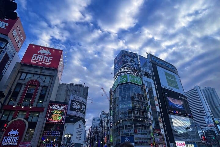Day Tour in Shinjuku and Kagurazaka Tokyo Hotspot and Hidden Gems — photo 10