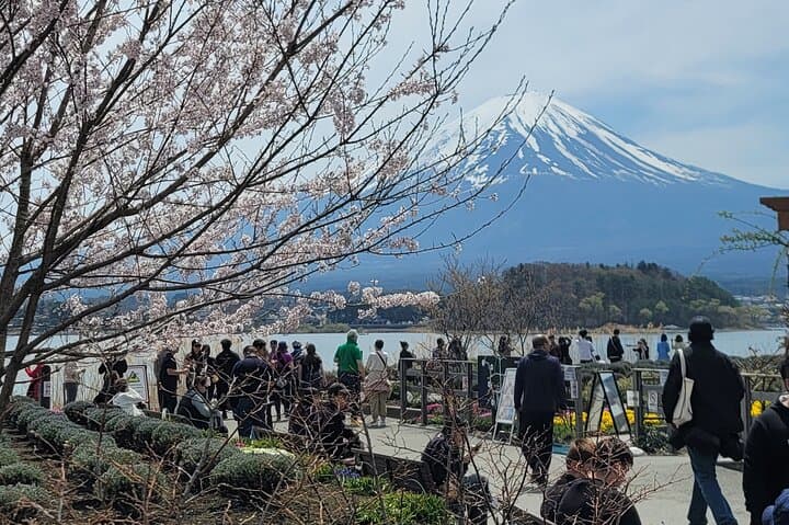 Private Car tour to Mt. Fuji/Hakone with English Driver/Guide — photo 2