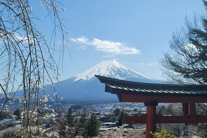 Private Car tour to Mt. Fuji/Hakone with English Driver/Guide — photo 3