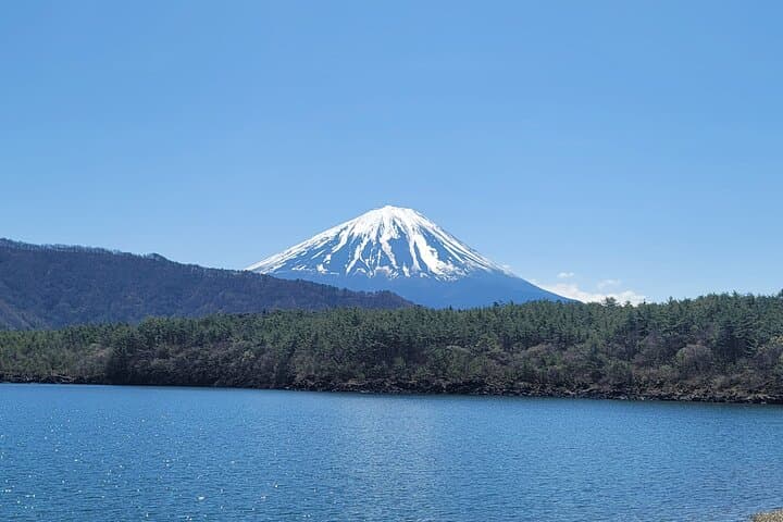 Private Car tour to Mt. Fuji/Hakone with English Driver/Guide — photo 4