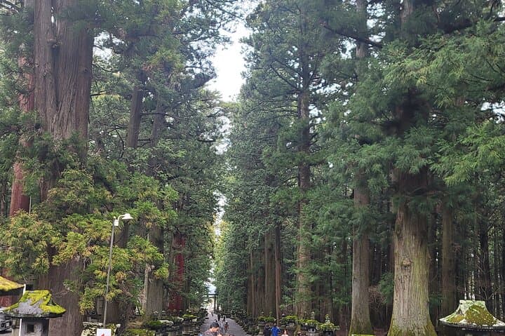 Private Car tour to Mt. Fuji/Hakone with English Driver/Guide — photo 6