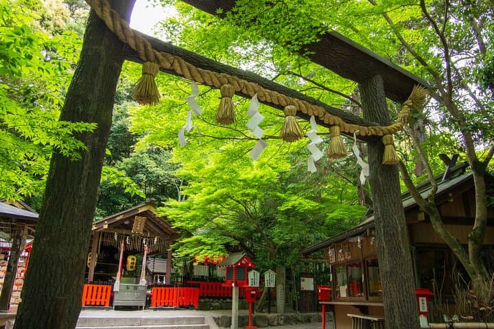Private Day Tour - Kyoto Arashiyama & Bamboo Forest Perfect Tour! — photo 6