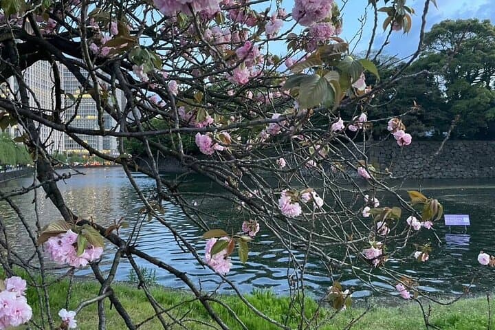 First-Time in Tokyo? Experience the Best with Our Private Tour! — photo 8