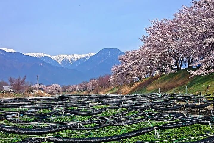 Private Guided Half Day Tour Visit in Nagano — photo 5