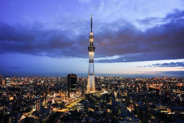 Tokyo City Private Tour up to 6 Persons — photo 2