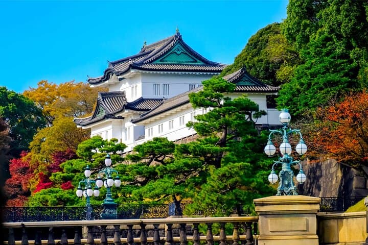 Tokyo City Private Tour up to 6 Persons — photo 5