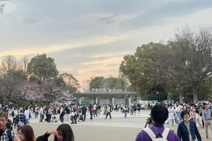 Tokyo City Private Tour up to 6 Persons — photo 9
