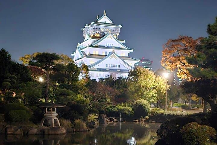 Discover the Hidden Gem of Osaka's Private Walking Tour — photo 1