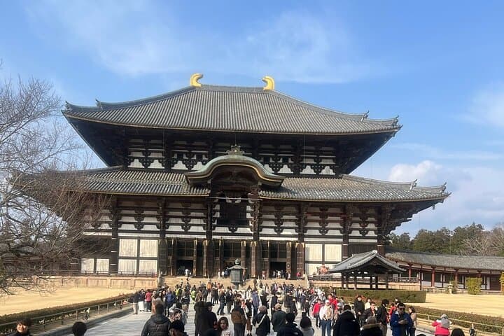 KYOTO and NARA TOUR with FREE ENTRANCE FEE(DRIVER ONLY) — photo 2