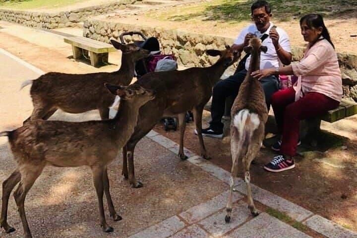 KYOTO and NARA TOUR with FREE ENTRANCE FEE(DRIVER ONLY) — photo 3