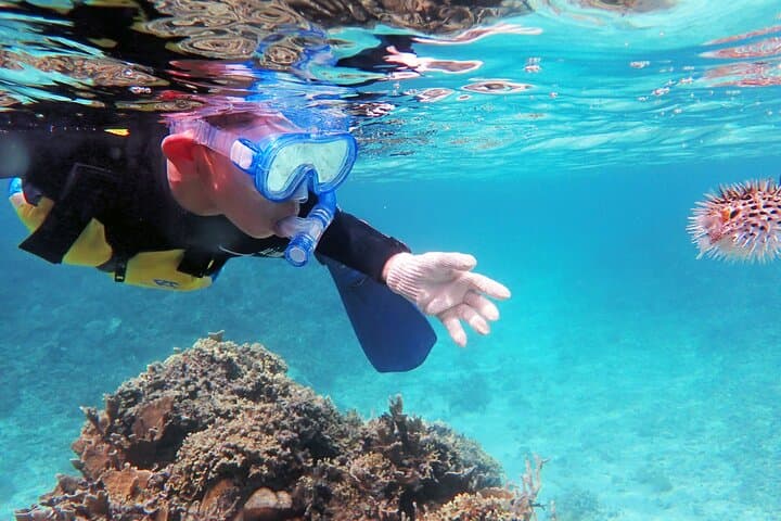 Half Day Amami Japan Boat Snorkeling Adventure — photo 6