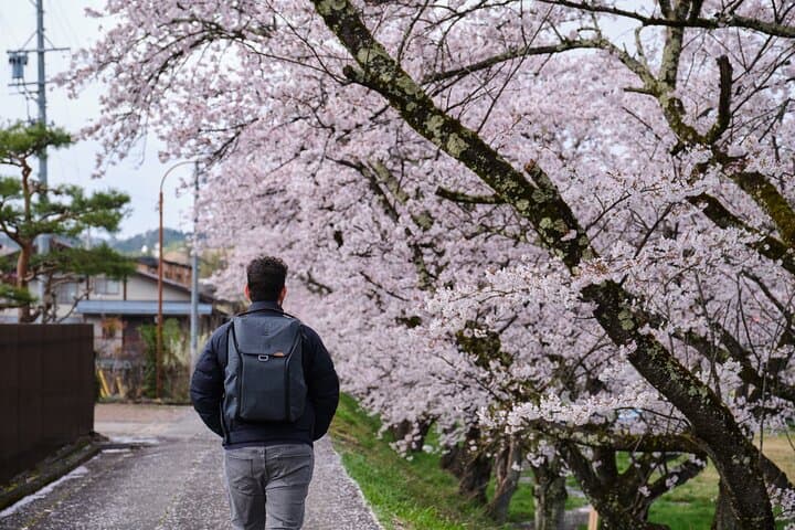 Timeless Takayama: Private Historical Walk with Local Guide — photo 5