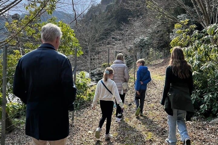 Private Tour Miyama Thatched Village from Kyoto — photo 3