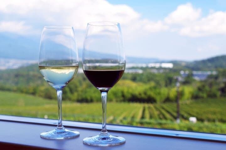 Yamanashi Koshu Winery Private Tour with Licensed Guide & Vehicle — photo 15