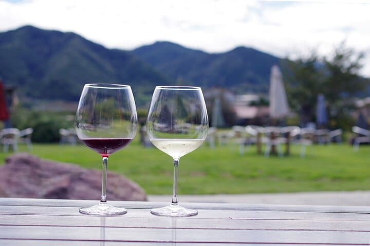 Yamanashi Koshu Winery Private Tour with Licensed Guide & Vehicle — photo 20
