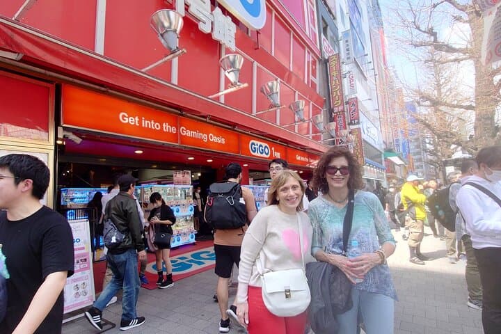Tokyo 7 Hours Tour Licensed Guide and Vehicle NRT Airport Pick up — photo 18