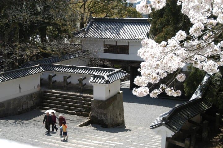 1 Day Private Tour to Miyazaki Nichinan — photo 7
