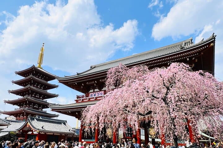 Private Walking Tour to explore Tokyo based on your interests