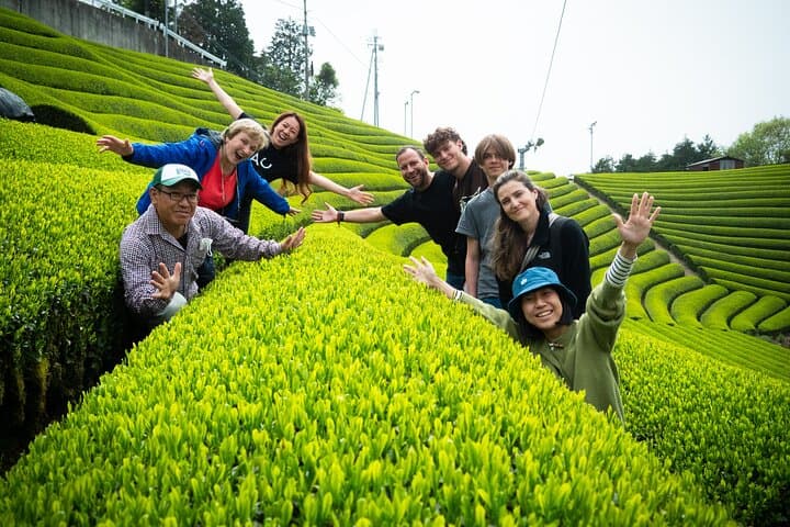 7hr Private Wazuka True Hidden Kyoto Matcha Farm Experience — photo 2